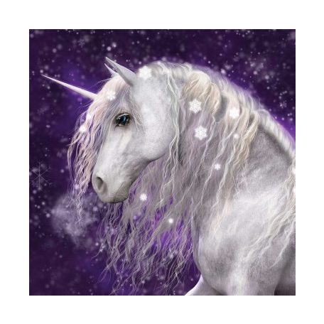 Unikornis kispárna huzat