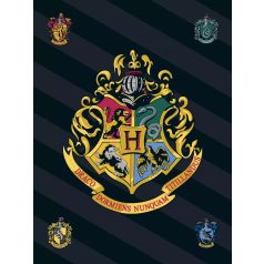 Harry Potter csíkos Címeres polár takaró