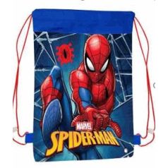 Pókember tornazsák